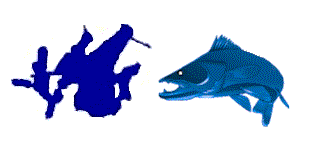 walleye name logo.gif (6127 bytes)
