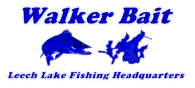 waler_bait_logo1__.jpg (17715 bytes)